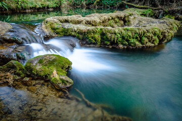 Forest creek (Garrotxa province, Catalonia, Spain)