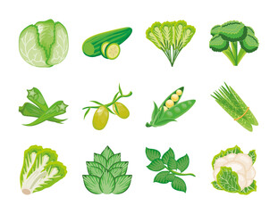 set of icons fruits and vegetables fresh