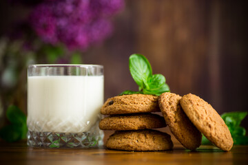 oatmeal cookies with a glass of fresh milk for breakfast