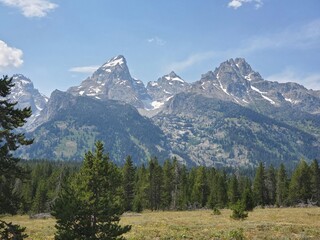 Fototapeta premium Mountain range and trees in the Tetons
