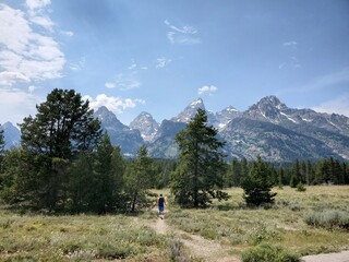 Fototapeta premium Mountain range and trees in the Tetons