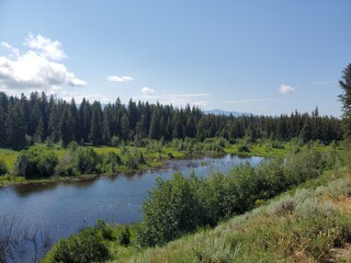 Small pond surrounded by trees