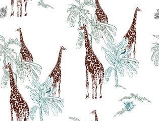 Seamless Pattern Giraffes in Banana Palms Nursery Children Design, Wildlife Safari in Ecotic trees Outline Drawing on White Background, Engraving Drawing Animals in Desert