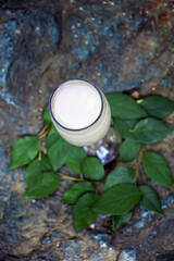 Wineglass with rose wine on rock, stones among moss. Scenic still life with alcoholic drink in nature. Pink vodka Cosmopolitan cocktail