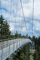 Hängebrücke WildLine bei Bad Wildbad