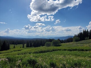 Fototapeta premium Landscape in the Tetons Valley in Wyoming
