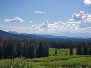 Fototapeta premium Landscape in the Tetons Valley in Wyoming