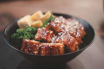 Broiled eel on rice. Japanese unagi cuisine