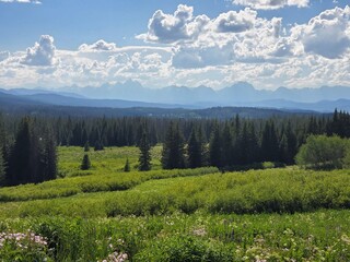 Fototapeta premium Landscape in the Tetons Valley in Wyoming