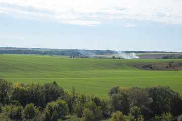 Landscape, nature, green meadow and trees, blue sky.