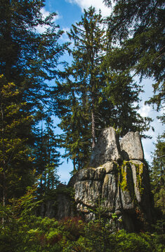 celtic shrine in Sumava national park