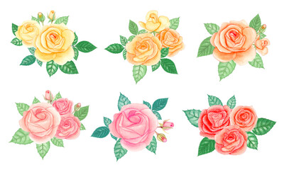 Watercolor rose bouquet elements set. Hand drawn vector illustration.