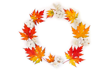Autumnal frame of maple leaves, cotton flowers, dry white flowers orchid on white background with space for text. Top view, flat lay © Anastasiia Malinich
