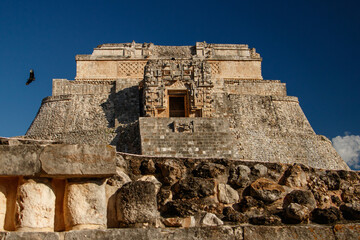Fototapeta na wymiar Main pyramid with flying condor in Uxmal site in Mexican Yucatan