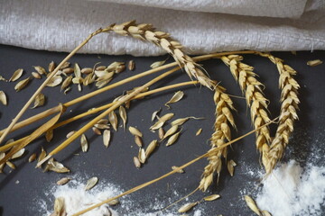 przenica © Magorzata