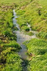 Fototapeta premium Channel dug to drain a flooded field in Brittany