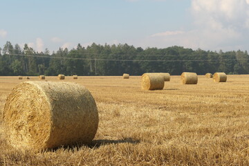 Landschaft mit Strohballen nach einer Heuernte im Sommer auf einem Feld