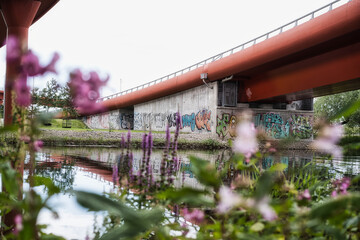 Landscape with graffiti under the highway