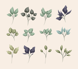 set of green leaves painting design of Floral nature plant garden ornament botany decoration and life theme Vector illustration