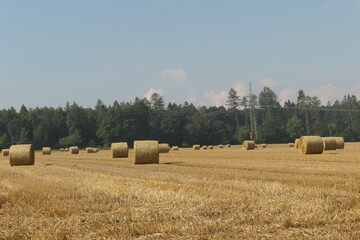 Landschaft mit Strohballen nach einer Heuernte im Sommer auf einem Feld