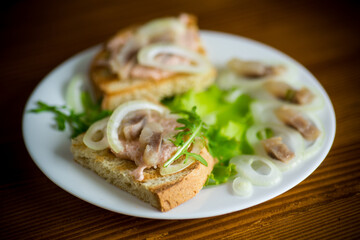 sandwich with salad, herring and herbs with onions in a plate