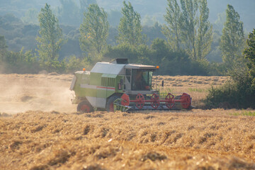 Fototapeta premium Harvesting machine in a wheat field, side view