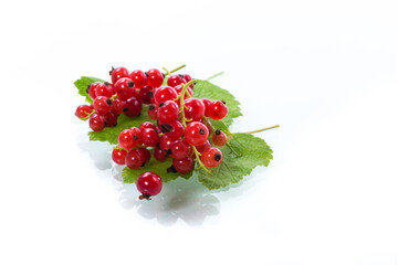 ripe summer berry red currant isolated on white