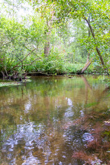 Calm floating creek with crystal clear water and idyllic scenery for a hiking tour along the waterway to relax and enjoy the nature through a green forest and a scenic wilderness with fresh air