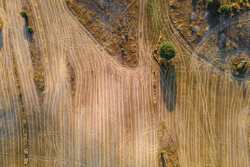Landscape with sowing field near Malpartida de Caceres.