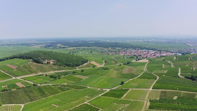 Aerial view of vineyards in Alsace France near Colmar