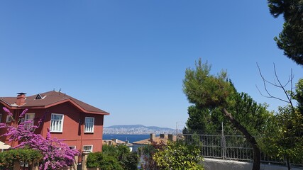 house on the hill