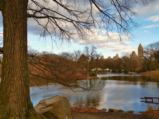 The central park, New York city daylight view with lake, clouds and trees