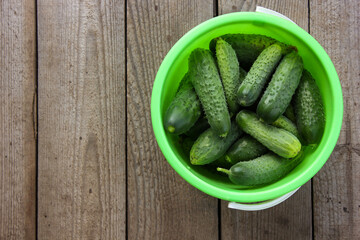 green cucumber on wooden background
