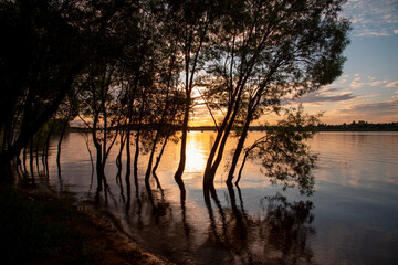 Summer evening landscape. Black silhouettes of trees growing out of the water against the background of a bright sunset.