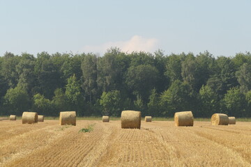 Ernte der Strohballen aus Heu und Stroh in einer Landschaft