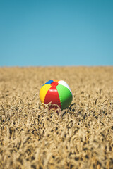Obraz premium Beach ball in wheat field. Summer vacation at countryside. Concept of impossible travel for holiday because closed borders of countries during coronavirus covid-19 pandemic