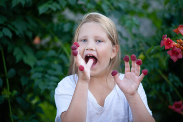 A child blonde girl with blue eyes in a white T-shirt holds raspberries on her fingers, opened her mouth to eat berries. Delicious and vitamin food. Healthy eating concept