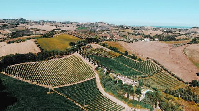 Aerial view of hills and agricultural fields in Marche region, Italy