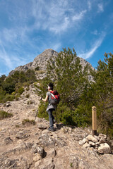 Fototapeta na wymiar Coll des Carniceret, (collado del Carniceret), GR 221.Puig de Galatzo, 1027 mts.Sierra de Tramuntana.Mallorca.Islas Baleares. Spain.