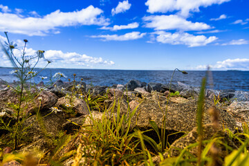 Fototapeta na wymiar green grass and stones on the background of water and blue sky with clouds