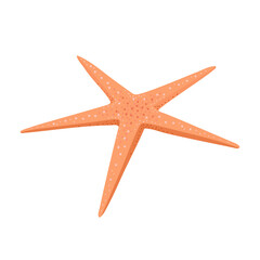 Starfish flat illustration isolated on white background. Cartoon underwater creature.