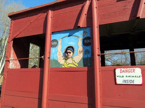 A Senior Man Impersonating A Strong Man In A Face In The Hole Board.