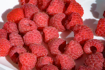 A handful of red ripe raspberries lies on a white plate, close-up. Raspberry juicy berries in the sunlight, macro.