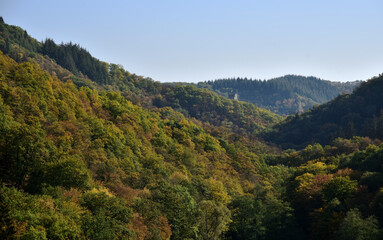 Fototapeta na wymiar Herbstwald bei Manderscheid in der Eifel mit einem Burgturm