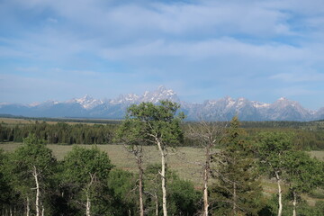 Grand Tetons mountain range in the distance
