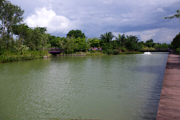 Gardens by the bay, Singapour
