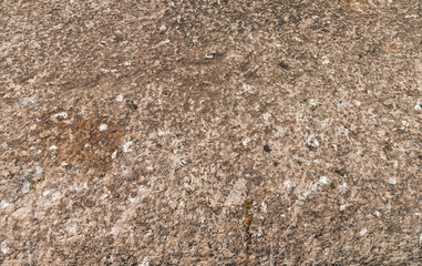 Dirty pavement, floor or stone texture