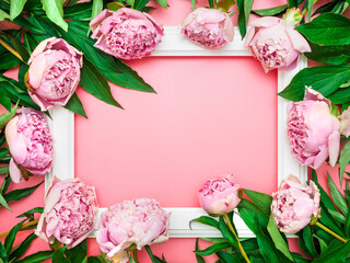 White frame with pink peony flowers on a pink background, top view, copy space, flat lay, mockup. Flower frame design for greeting cards, gift packages. Template for the designer with space for text
