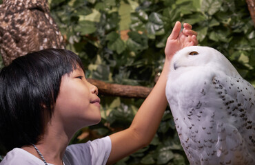 Asian little girl stroking cute owl