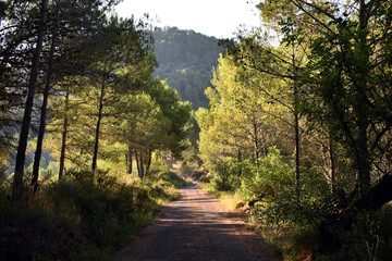 Mañana de veramo en Eslida